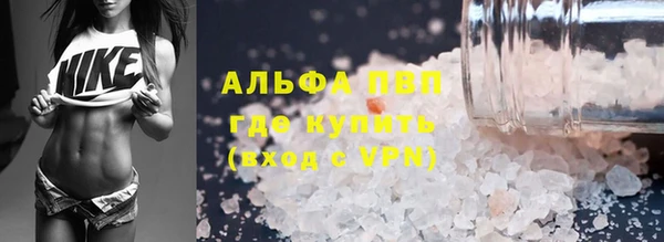 СК Алзамай