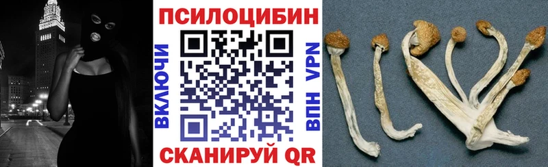 Псилоцибиновые грибы GOLDEN TEACHER  магазин    Игарка 