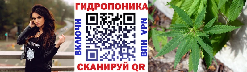 закладка Игарка Бошки Шишки сатива